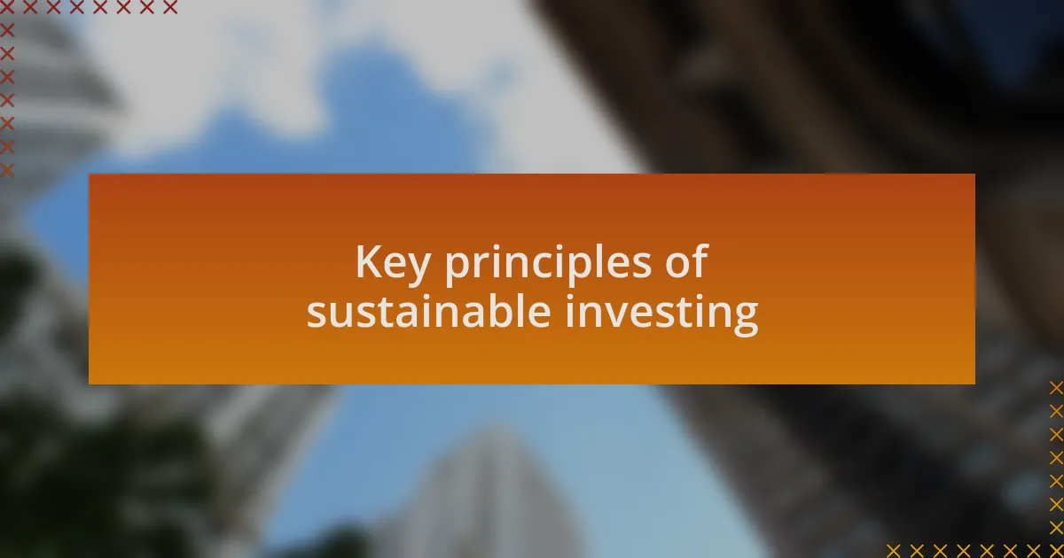 Key principles of sustainable investing