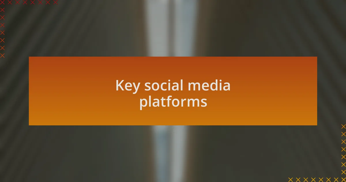 Key social media platforms